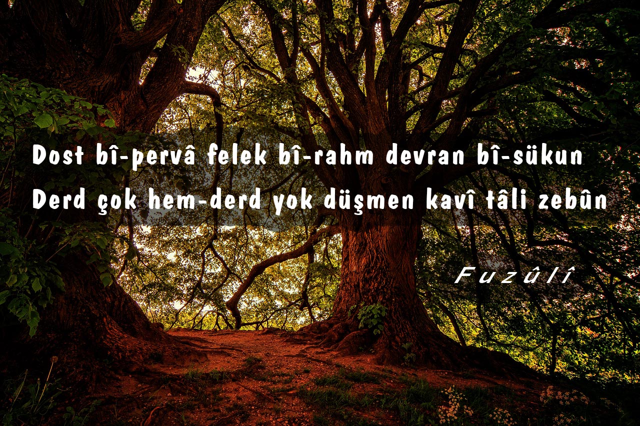 Dost bî-pervâ felek bî-rahm devran bî-sükun - Fuzûlî Gazeli