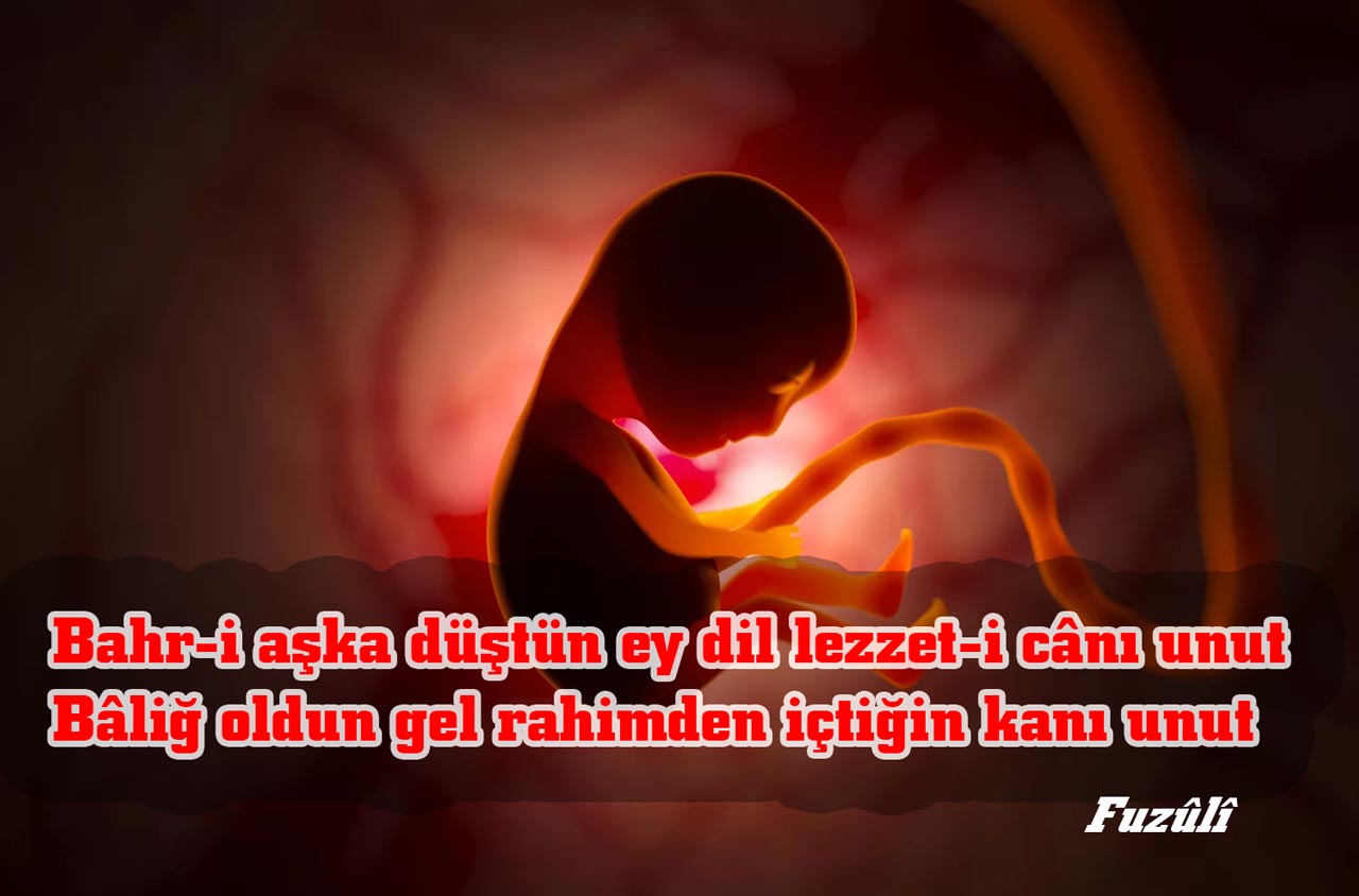 Bahr-i aşka düştün ey dil lezzet-i cânı unut - Fuzûlî Gazeli